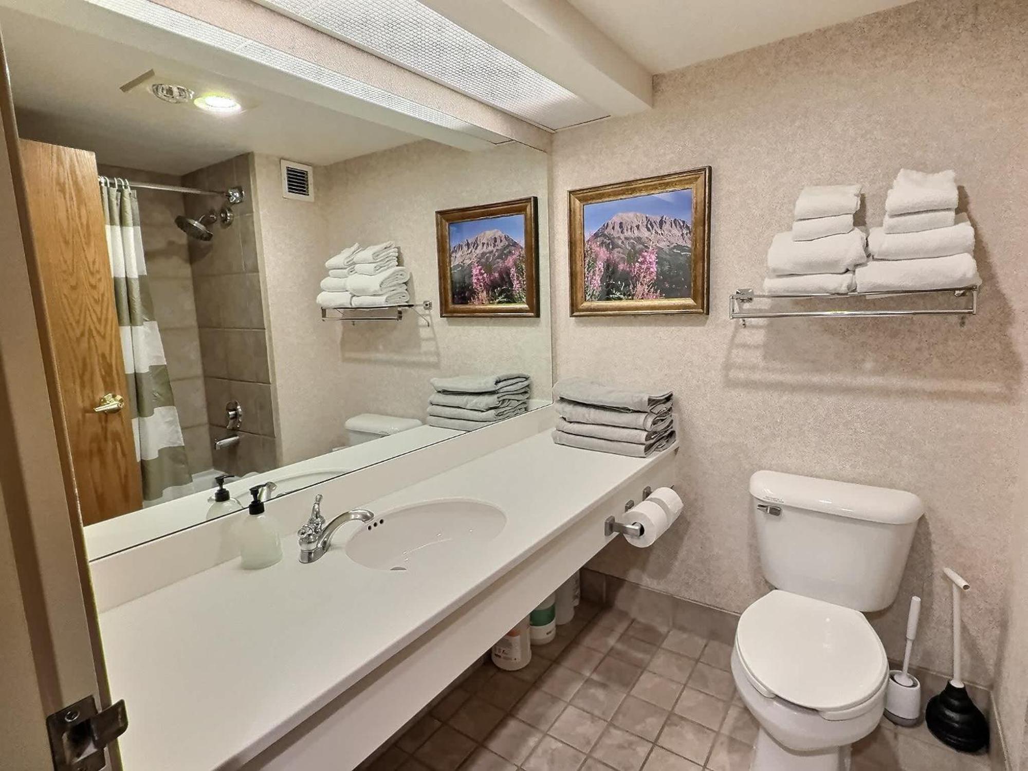 Vila 1Bd 274 Perfect Location With Pool And Hot Tub Crested Butte Exteriér fotografie